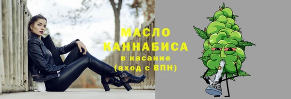 винт Абаза